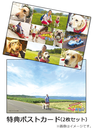 まさはる君が行く！ポチたまペット大集合 CD ～歩いて行こう！/何度でも抱きしめるさ～