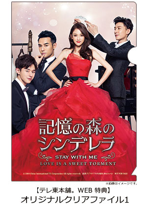 記憶の森のシンデレラ～STAY WITH ME～ DVD-BOX1