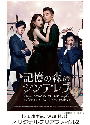 記憶の森のシンデレラ～STAY WITH ME～ DVD-BOX2