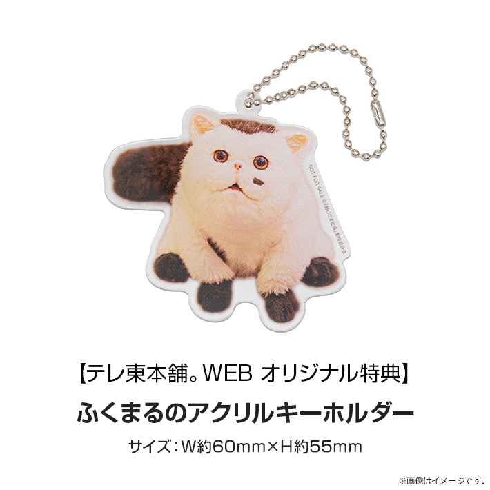 おじさまと猫 DVD BOX