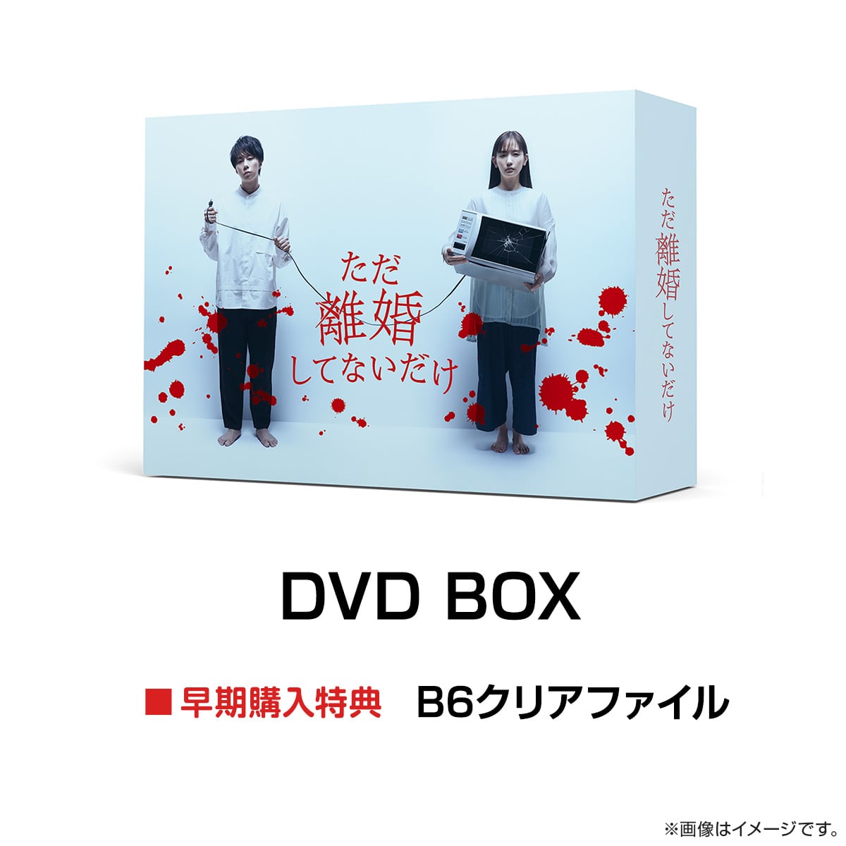 ただ離婚してないだけ DVD BOX