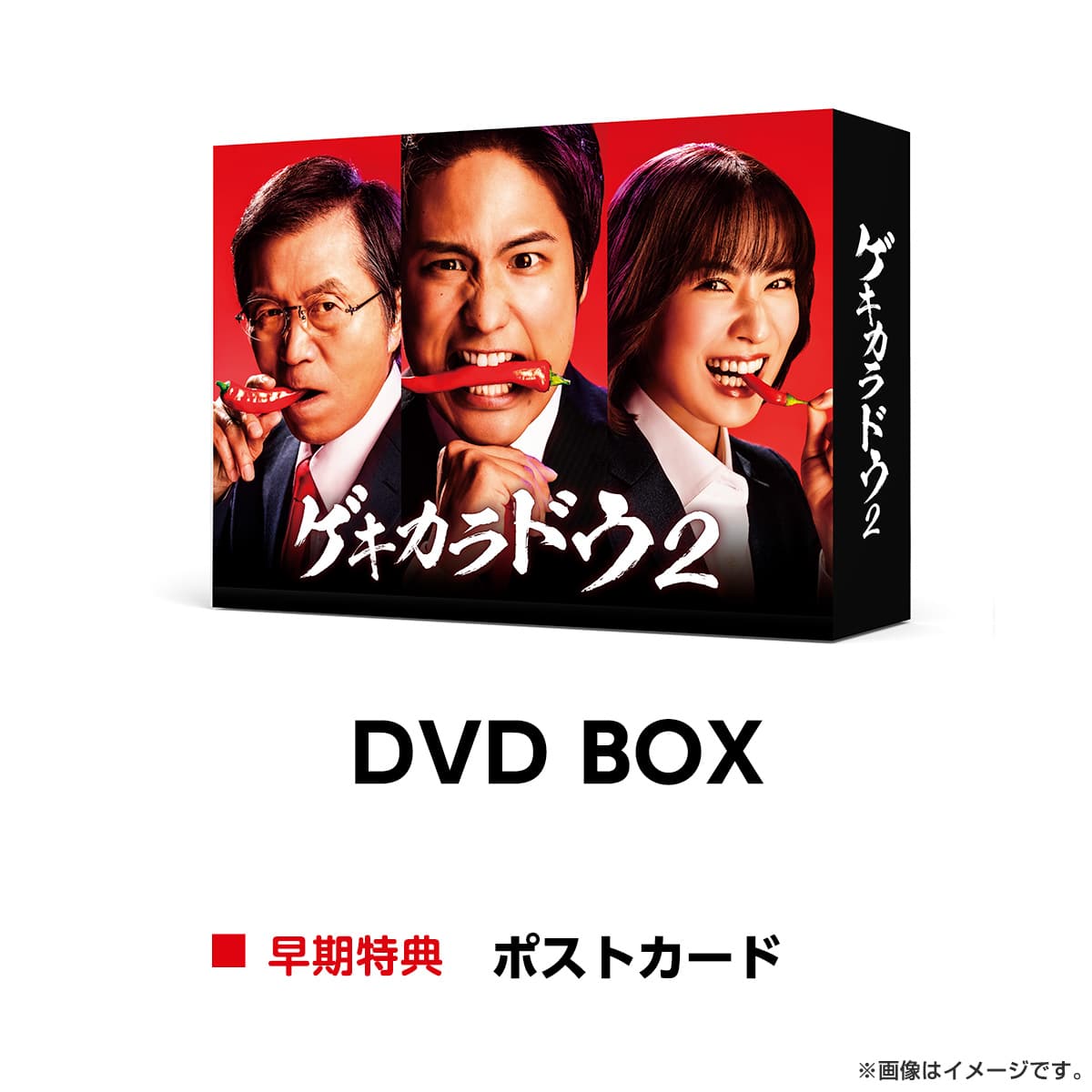 ゲキカラドウ２ DVD BOX