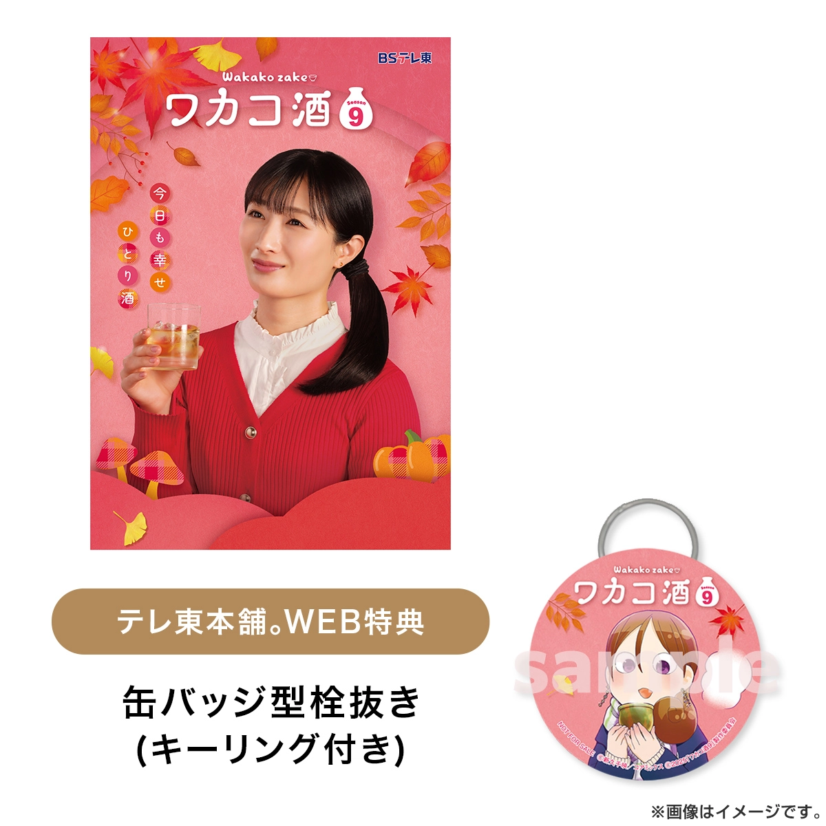 ワカコ酒 Season9 DVD BOX