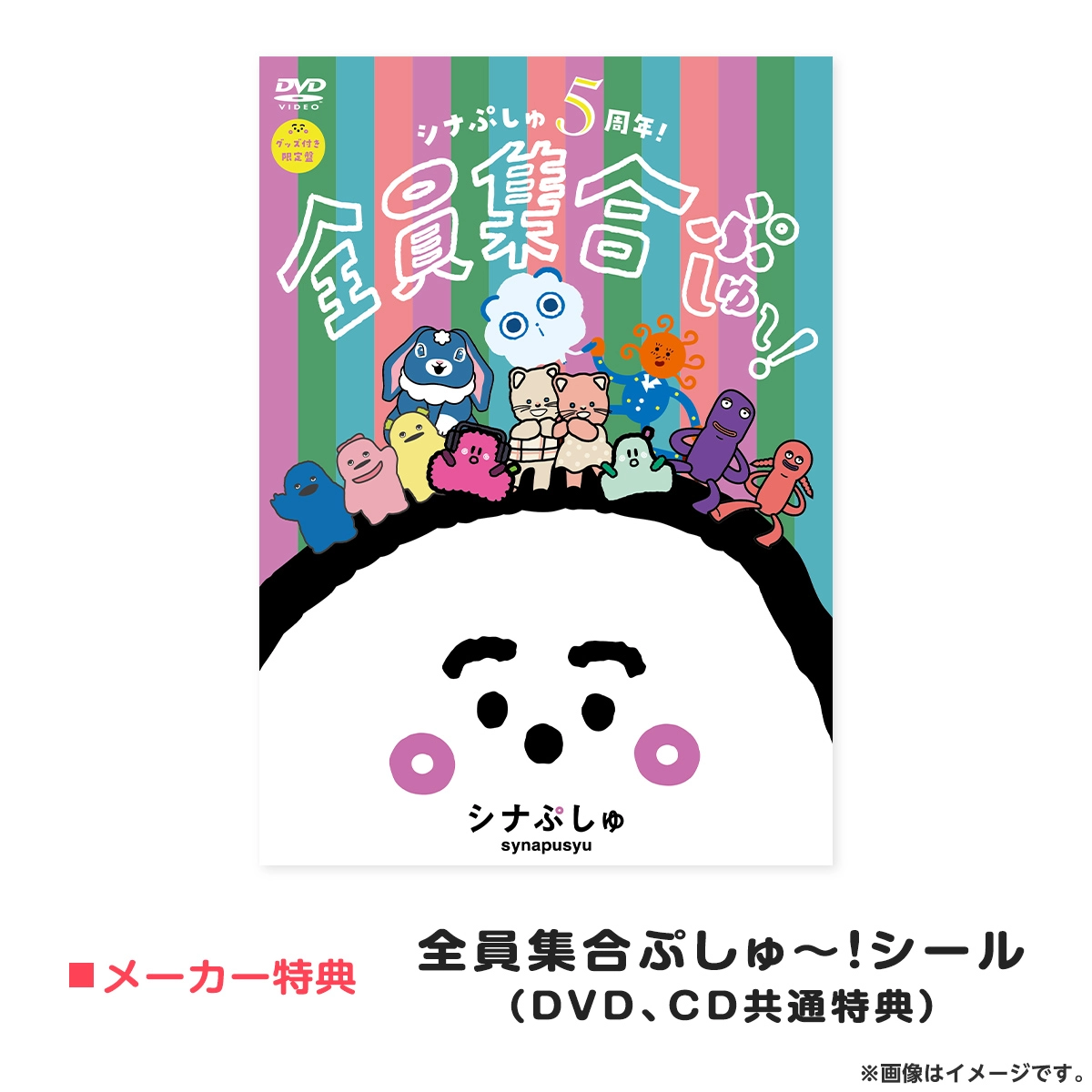「グッズ付き限定盤DVD」シナぷしゅ ５周年！全員集合ぷしゅ～！